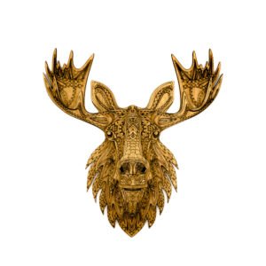 Moose