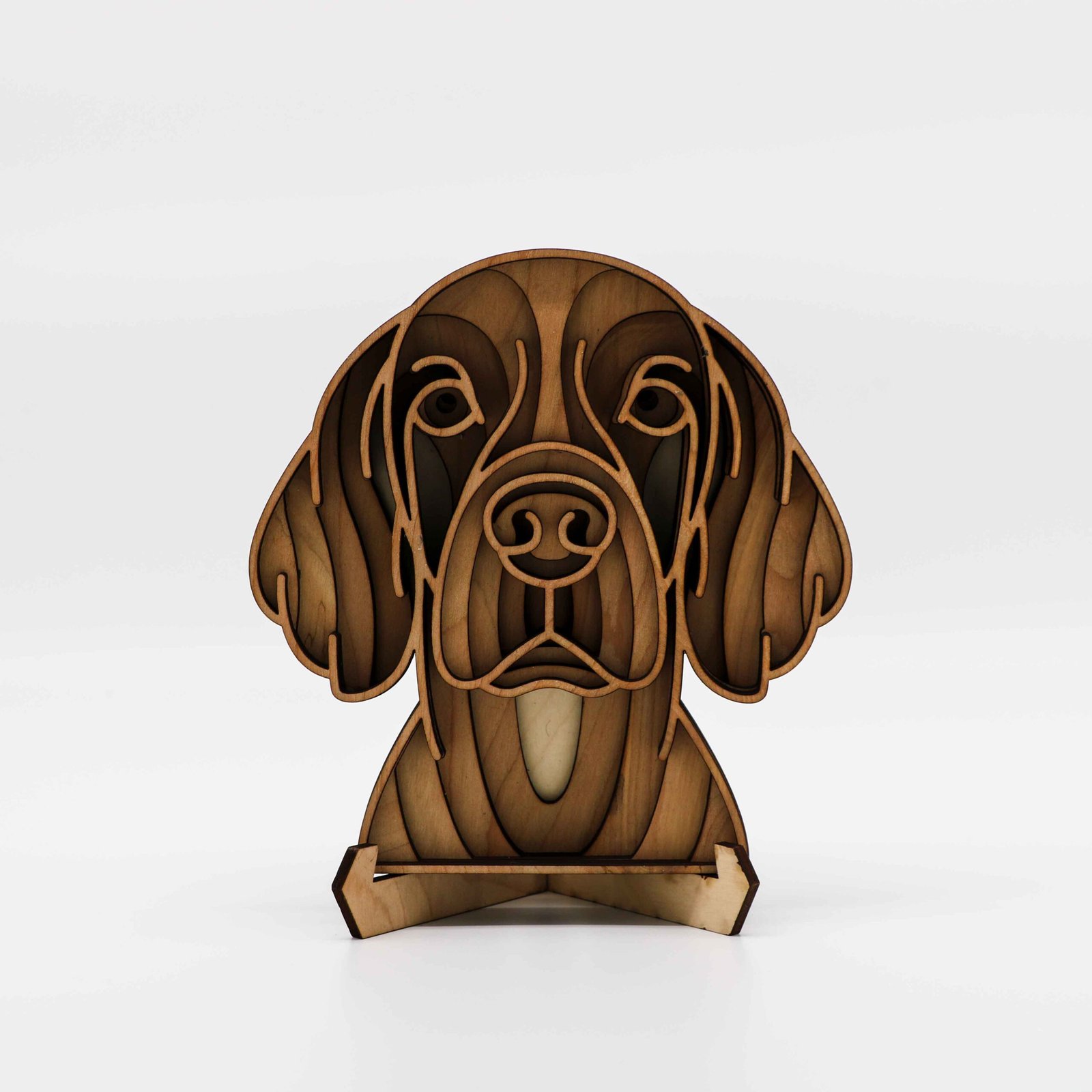 English Cocker Spaniel