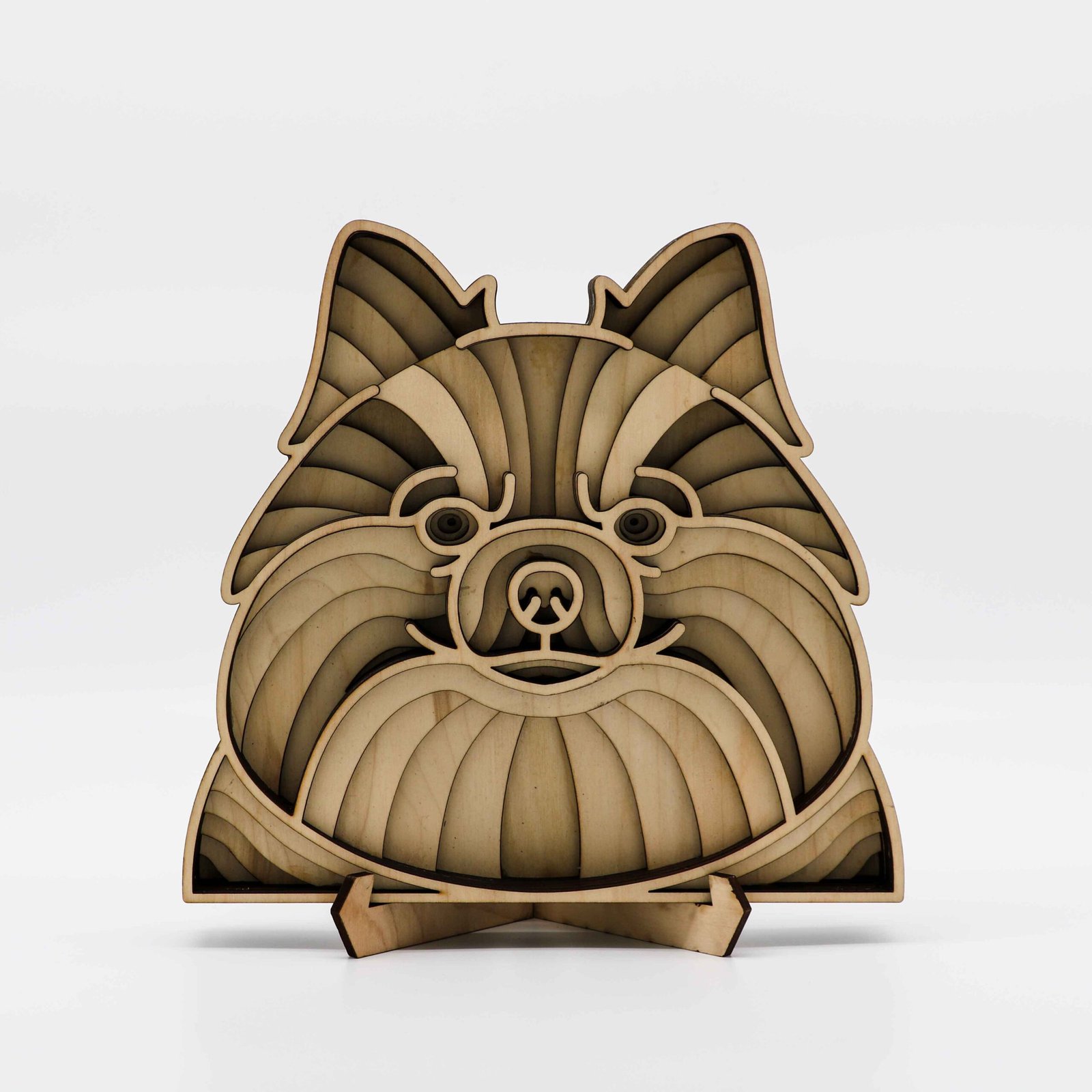 Pomeranian